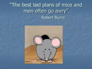 “The best laid plans of mice and men often go awry” Robert Burns