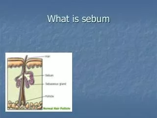What is sebum