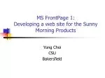 Crafting Web Solutions for Sunny Morning Products - slide 1