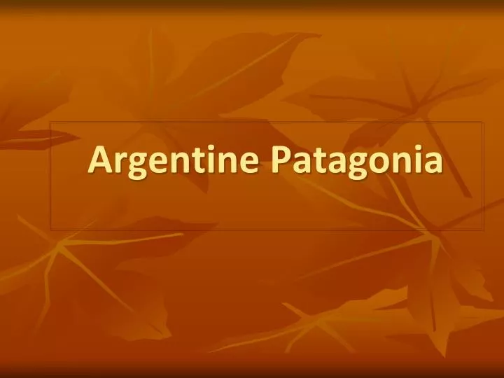 argentine patagonia