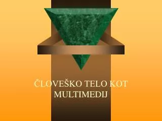love ko telo kot multimedij