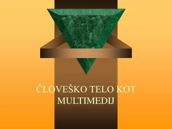 love ko telo kot multimedij