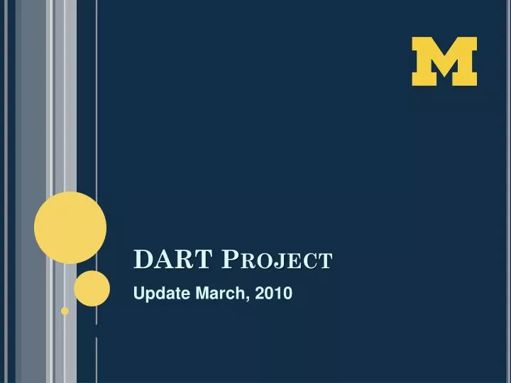 dart project