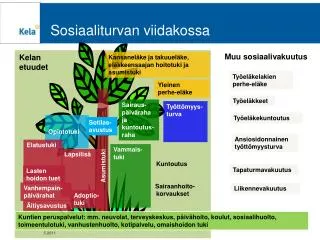 Sosiaaliturvan viidakossa