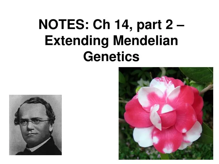 notes ch 14 part 2 extending mendelian genetics