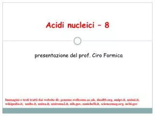 acidi nucleici 8