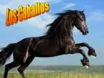 Los Caballos - slide 1