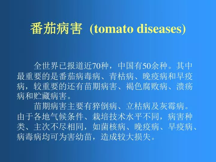 tomato diseases