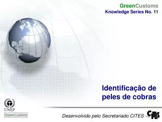 desenvolvido pelo secretariado cites