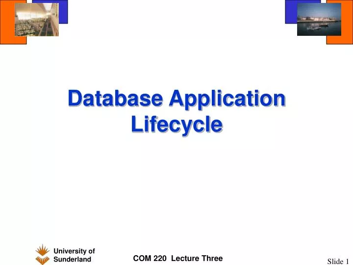 database application lifecycle