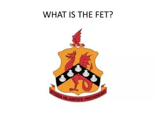 WHAT IS THE FET?