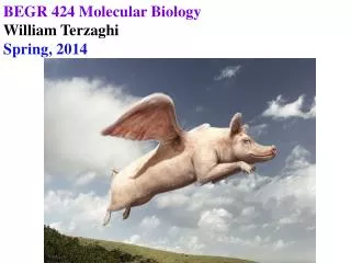 BEGR 424 Molecular Biology William Terzaghi Spring, 2014