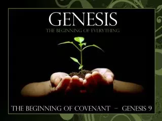 The Beginning of Covenant – genesis 9