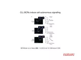 MD Minden et al. Nature 000 , 1-4 (2012) doi:10.1038/nature 11309