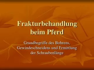 frakturbehandlung beim pferd