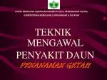 TEKNIK MENGAWAL PENYAKIT DAUN PENANAMAN GETAH - slide 1