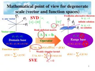 Mathematical point of view for degenerate scale (vector and function spaces)