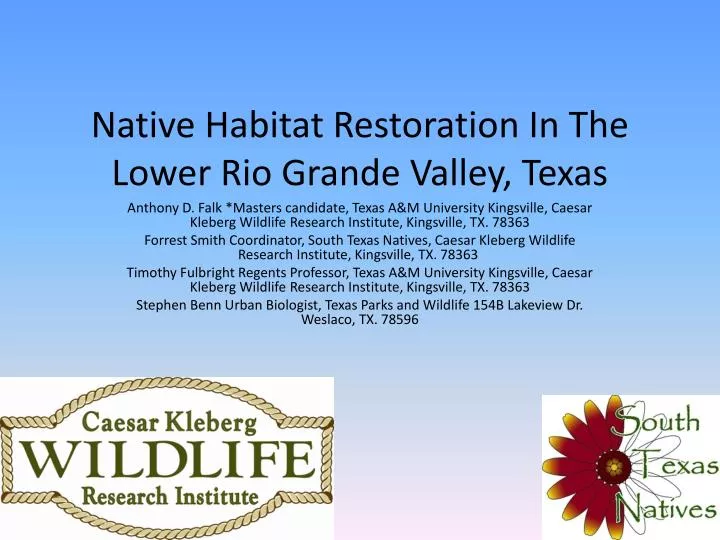 native habitat restoration in the lower rio grande valley texas