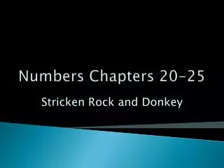 Numbers Chapters 20-25