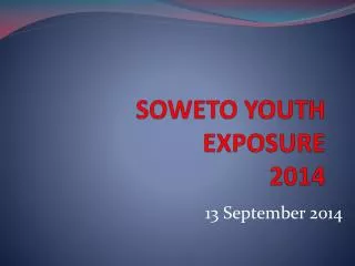 SOWETO YOUTH EXPOSURE 2014