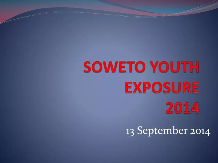 soweto youth exposure 2014