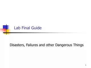 Lab Final Guide