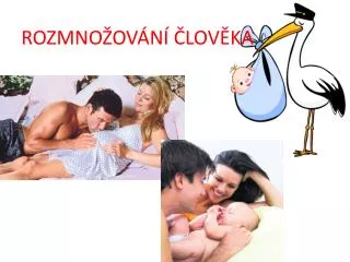 rozmno ov n lov ka