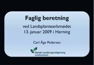 faglig beretning