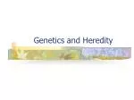 Understanding Blood Types and Genetics: Key Concepts and Practice - slide 1