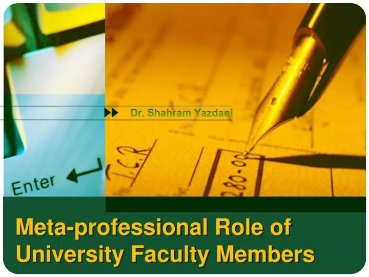 meta professional role of university faculty members
