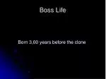 Boss Life - slide 1