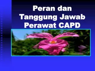 peran dan tanggung jawab perawat capd