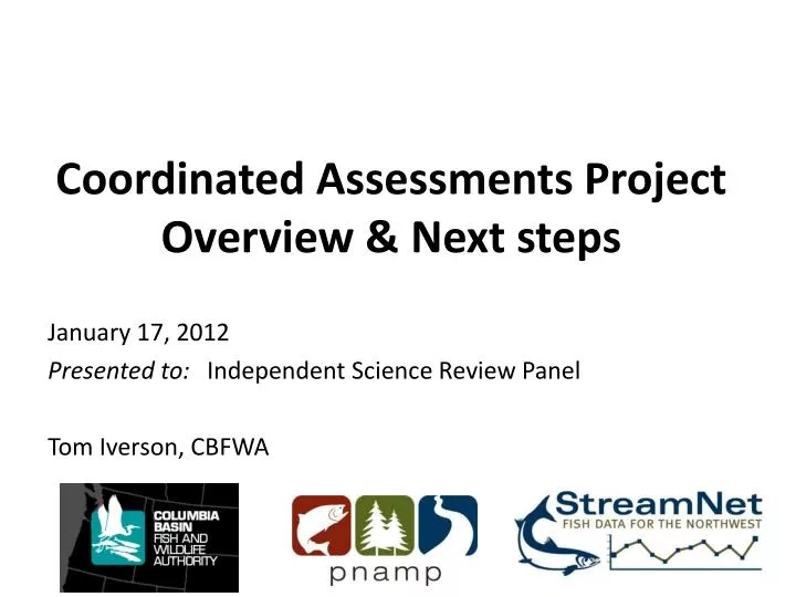 coordinated assessments project overview next steps