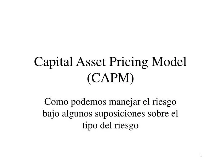capital asset pricing model capm