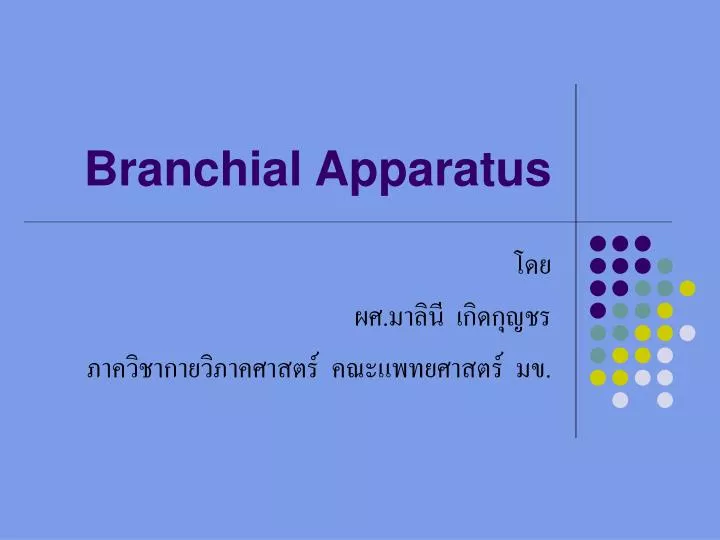 branchial apparatus