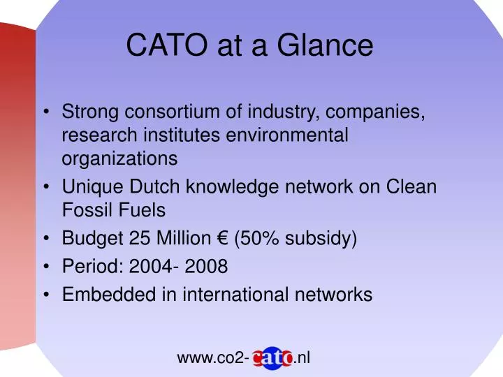 cato at a glance
