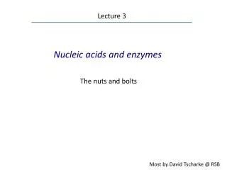 Nucleic acids and enzymes