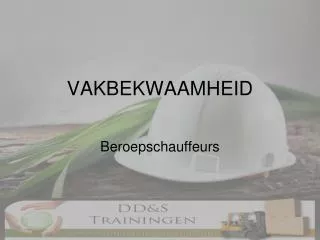 vakbekwaamheid