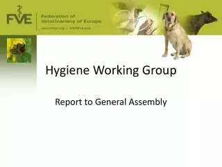 Hygiene Working Group