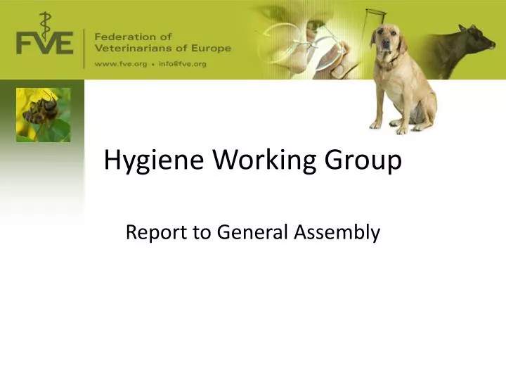 hygiene working group