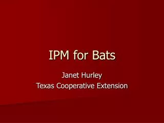 IPM for Bats