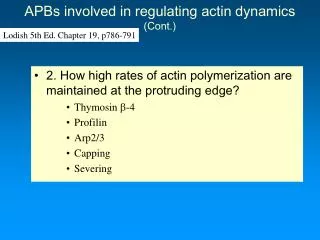 APBs involved in regulating actin dynamics (Cont.)