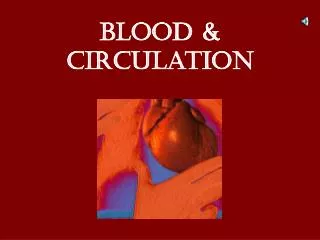 blood circulation