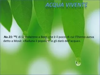 acqua vivente