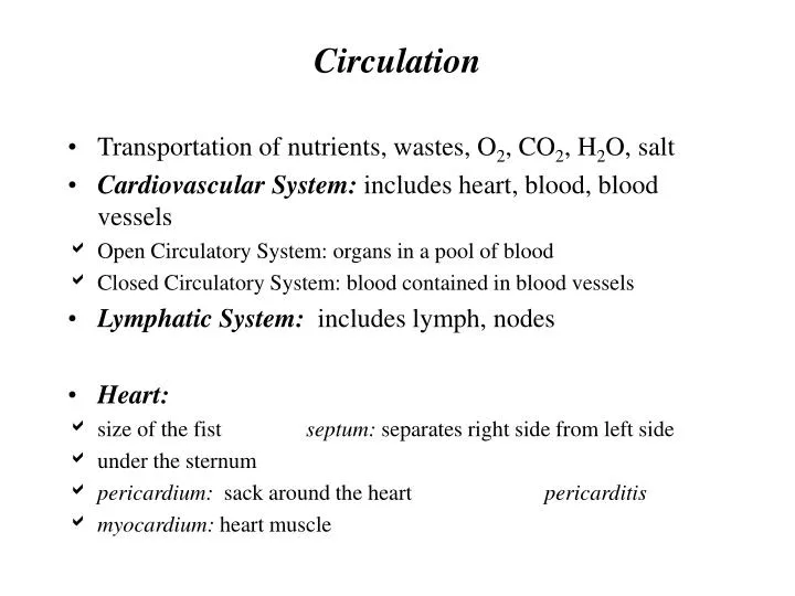 circulation