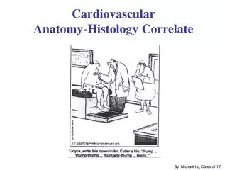 Cardiovascular Anatomy-Histology Correlate