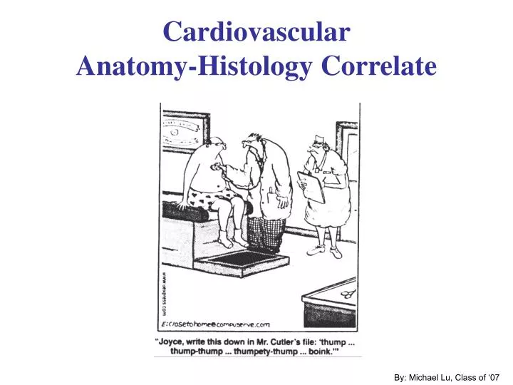 cardiovascular anatomy histology correlate