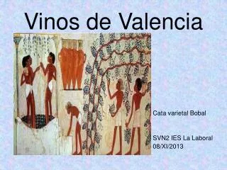 vinos de valencia
