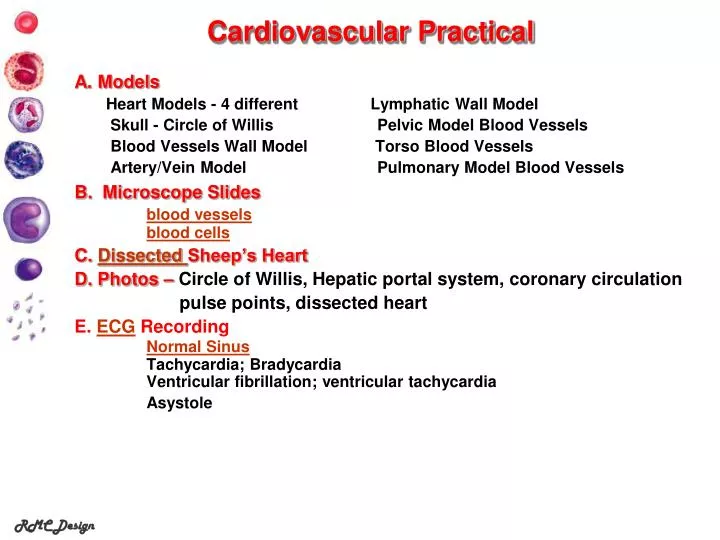 cardiovascular practical