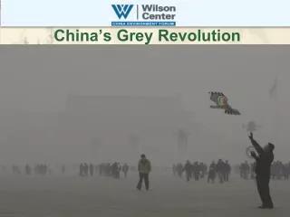 China’s Grey Revolution